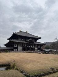 Nara, Kinkakuji & Arashiyama Day Trip - photo 11