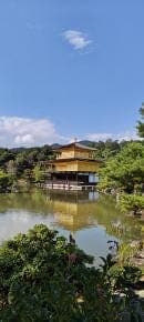 Nara, Kinkakuji & Arashiyama Day Trip - photo 16