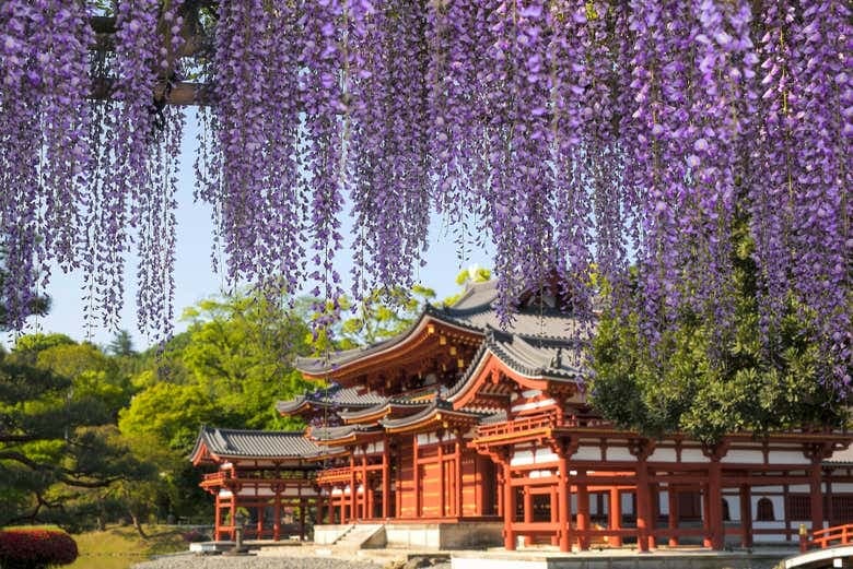 Nara & Uji Day Trip - photo 8