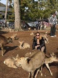 Nara & Uji Day Trip - photo 14