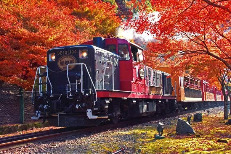 Sagano Romantic Train Tickets - photo 3