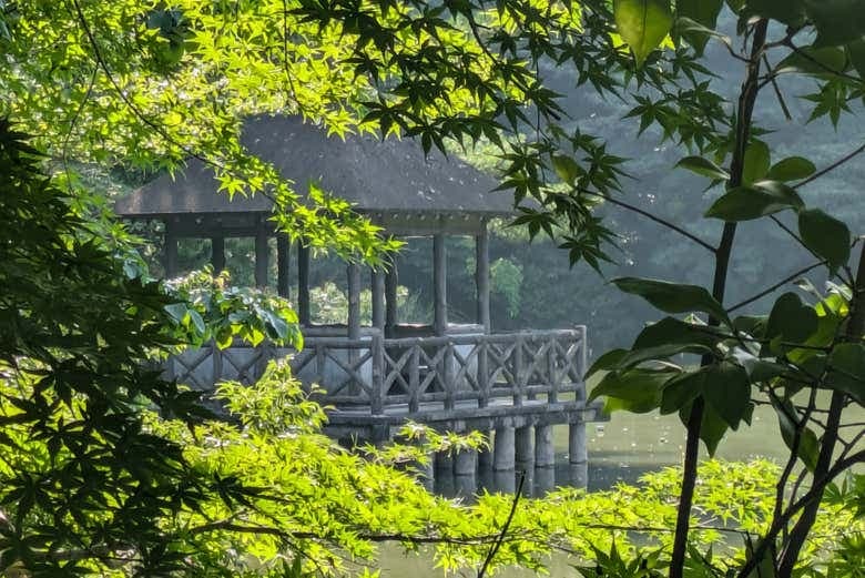 Shakujii Park Guided Tour - photo 5