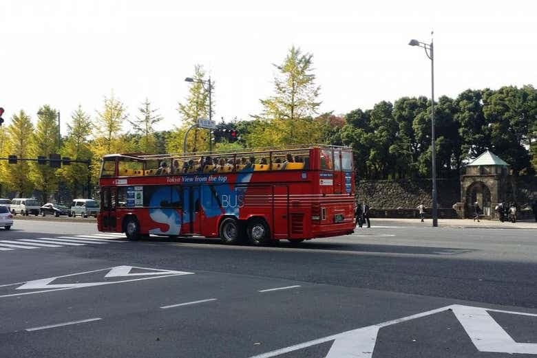Tokyo Hop-On Hop-Off Bus - photo 9