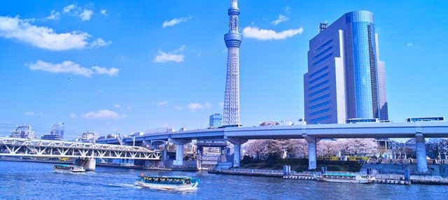 Tokyo River Cruise