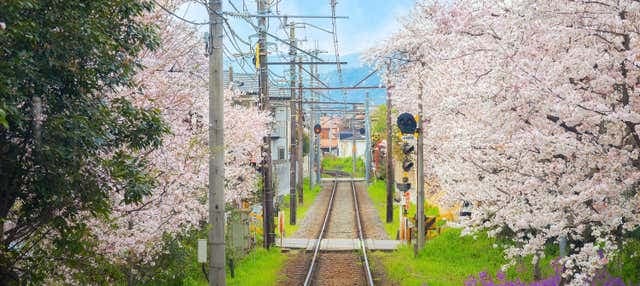 Haruka Express Train Between Kansai Airport and Kyoto or Osaka