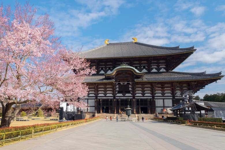 Kintetsu Rail Pass - photo 5