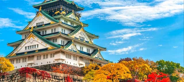 Osaka Castle Walking Tour - photo 2