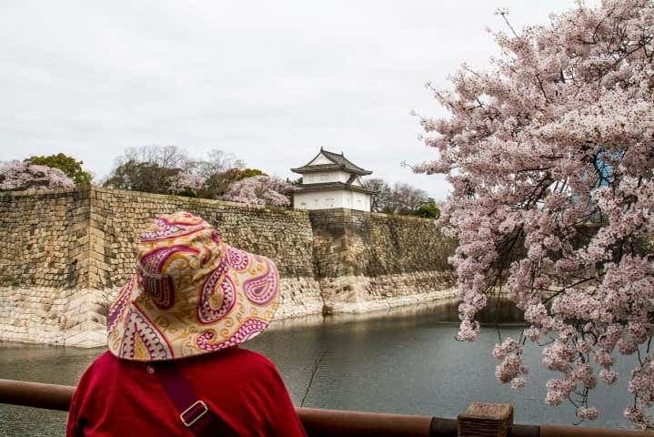 Osaka Castle Walking Tour - photo 5