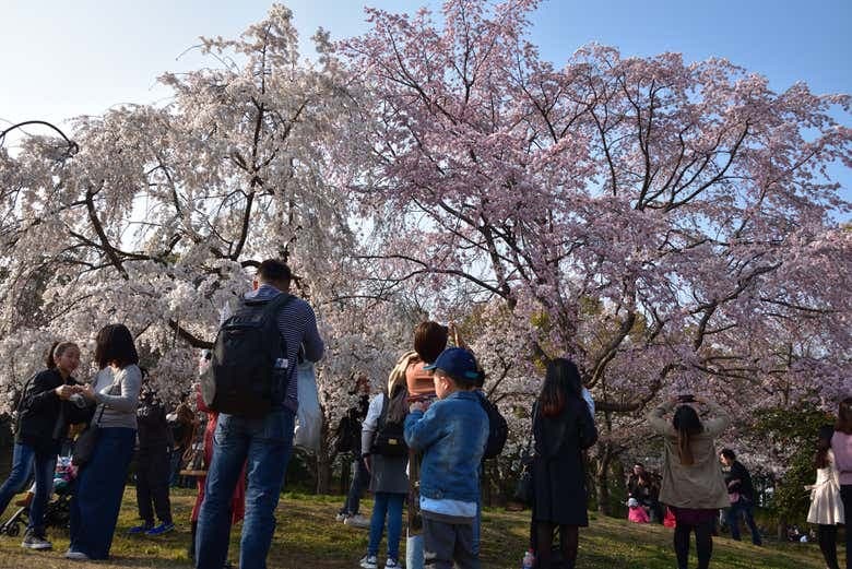 Osaka Castle Walking Tour - photo 8