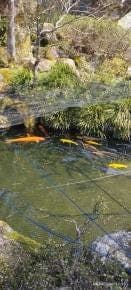 Takayama & Shirakawago Day Trip - photo 9