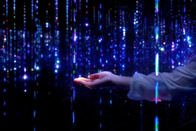 TeamLab Planets Tokyo Tickets - photo 5