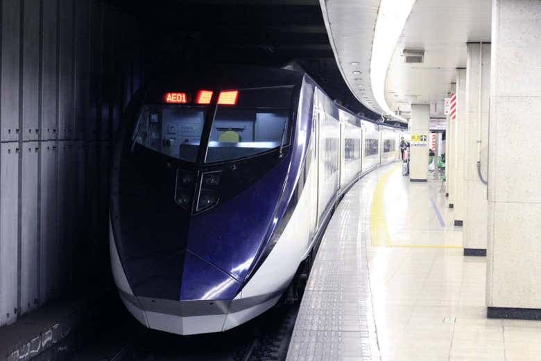 Tokyo Skyliner - photo 3